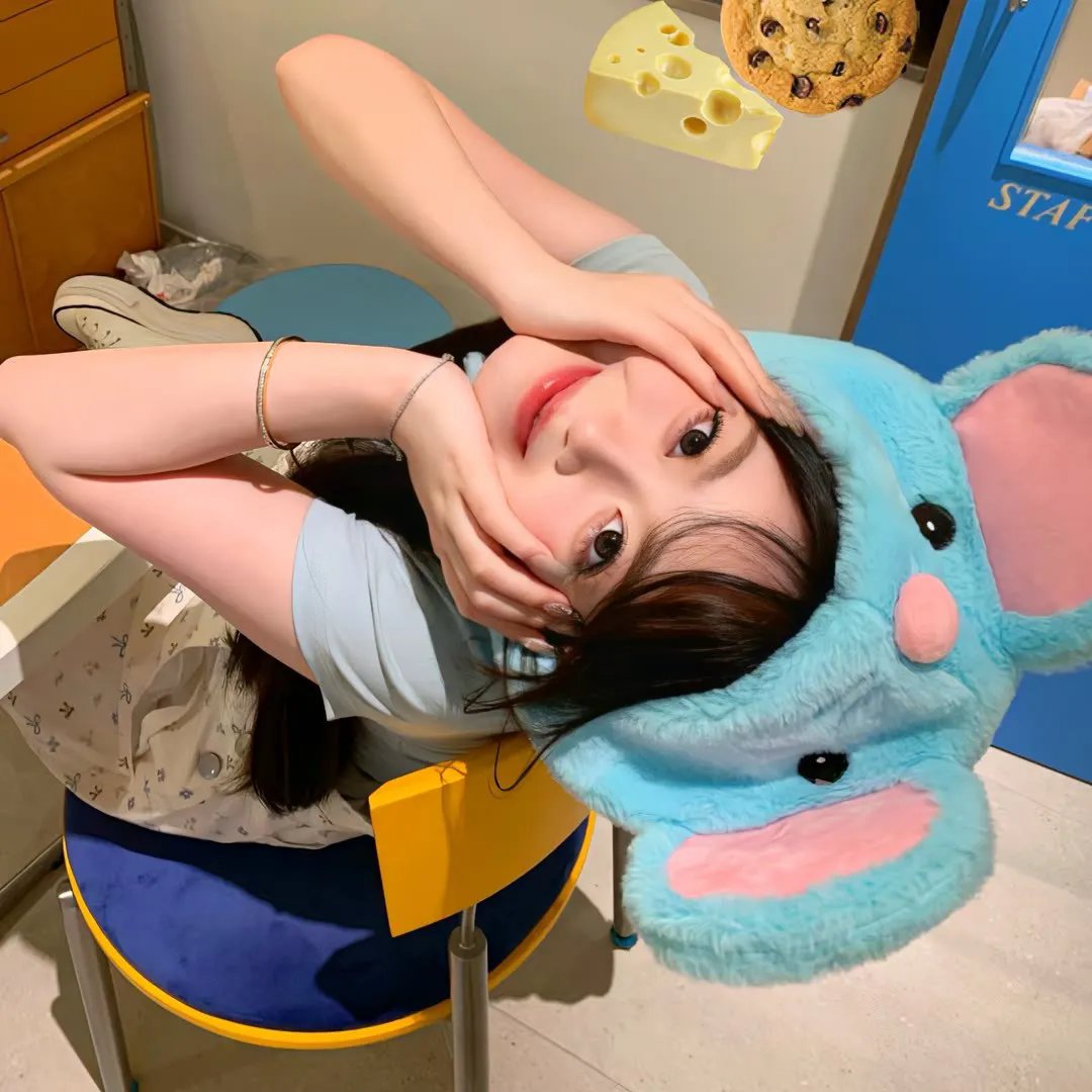 猫与爷爷